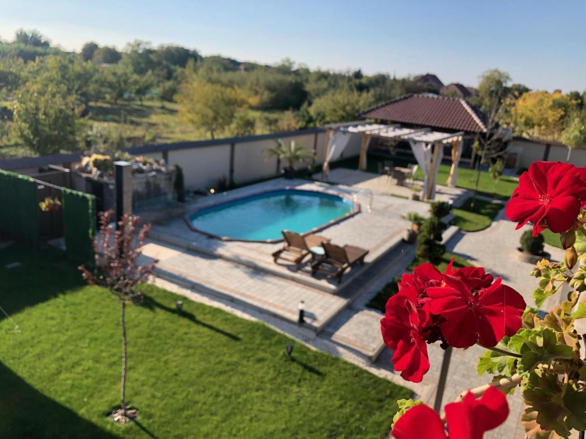 Kovac Residence Zrenjanin Exteriér fotografie